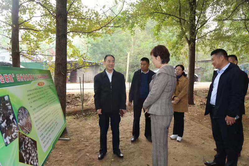 巅峰国际官网-追求康健,你我一起生长