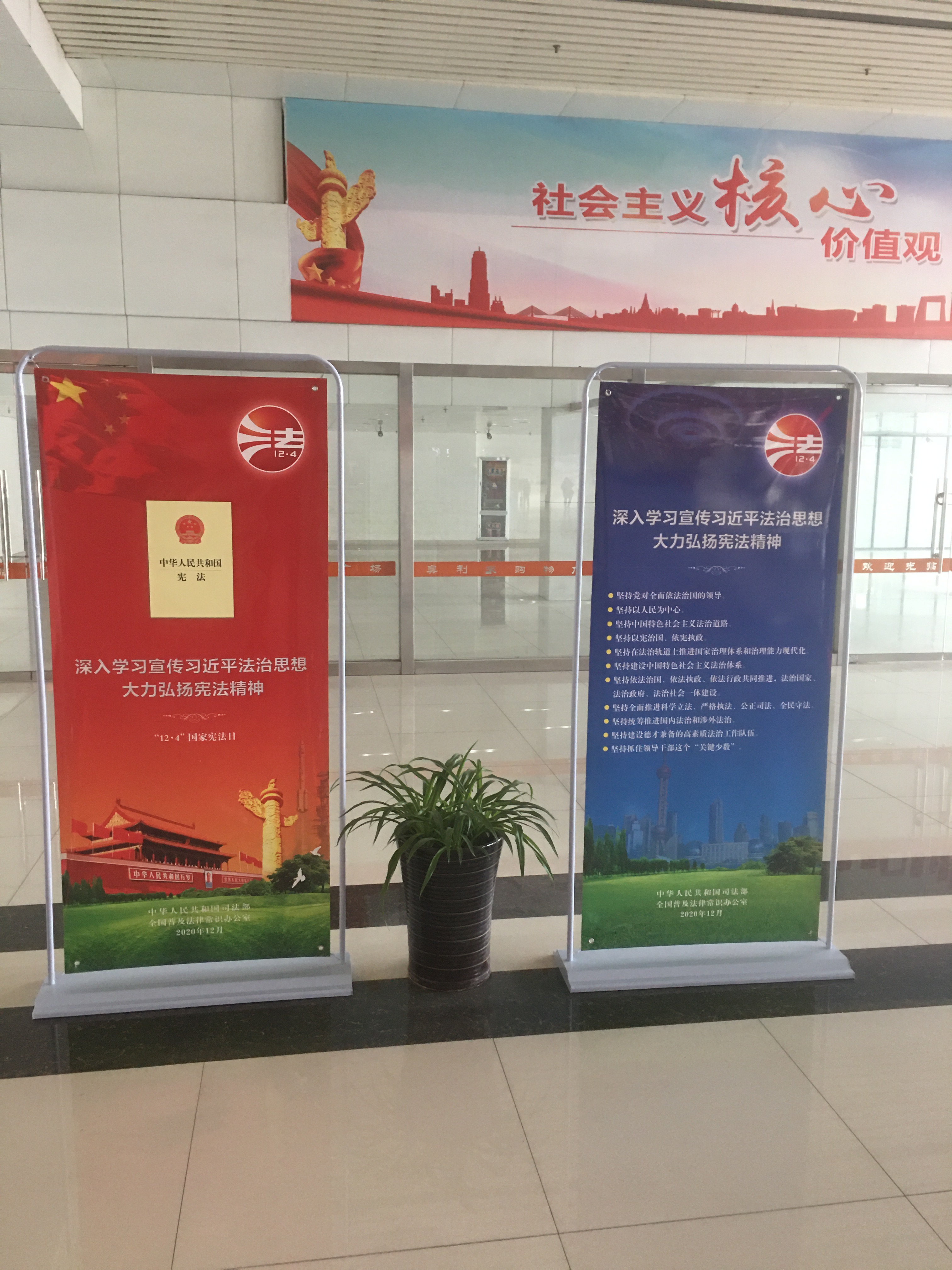 巅峰国际官网-追求康健,你我一起生长